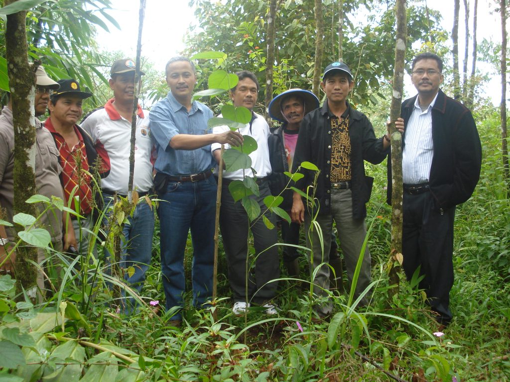 Lebih Dekat Dengan “Andalas”